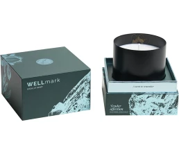 Ароматическая свеча Wellmark 