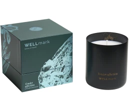 Ароматическая свеча Wellmark 