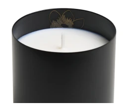 Ароматическая свеча Wellmark 