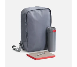 Набор Flexpen Travel, серый с красным