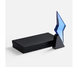 Стела Flash Forward