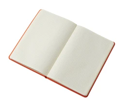 Блокнот в твердой обложке A5 «Виспи 2.0» в клетку, оранжевый