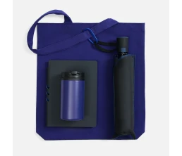 Набор Flexpen Black Walk, черный с синим