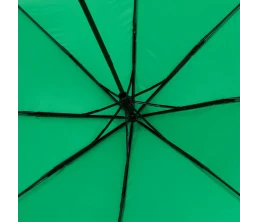Зонт складной Basic, ver.2, зеленый