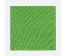 Лейбл тканевый Epsilon, L, зеленый (оливковый)