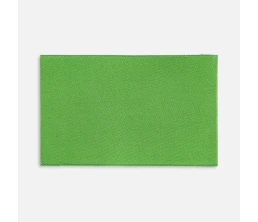 Лейбл тканевый Epsilon, XL, зеленый (оливковый)