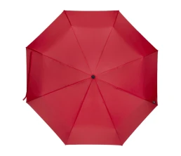 Дейн зонт 21