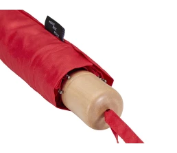 Дейн зонт 21