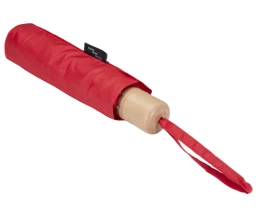 Дейн зонт 21