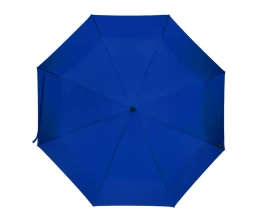 Дейн зонт 21