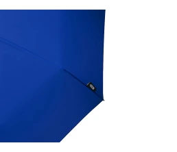 Дейн зонт 21