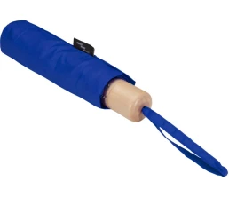 Дейн зонт 21