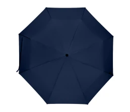 Дейн зонт 21