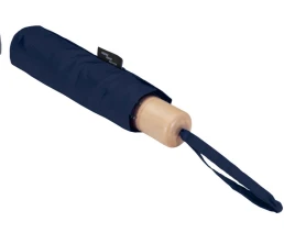 Дейн зонт 21