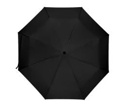 Дейн зонт 21