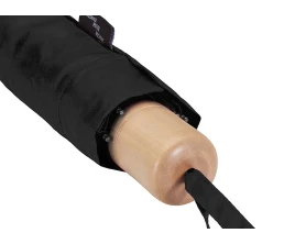 Дейн зонт 21