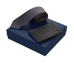 Подарочный набор Long River: обложка для паспорта, галстук, синяя коробка