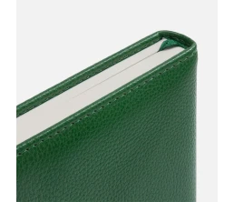 Ежедневник Extra, недатированный, зеленый