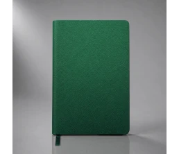 Ежедневник недатированный А6 "Фаворит", зеленый