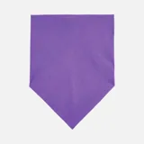 Шейный платок Bandana — фото 2