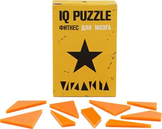 Головоломка IQ Puzzle — фото 2