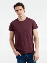 Футболка мужская Regent Fit 150 — фото 13