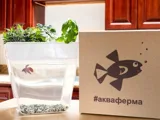 Набор для выращивания растений и ухода за рыбкой «Акваферма» — фото 7