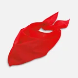 Шейный платок Bandana — фото 23