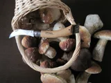 Нож грибника Opinel No 8, бук — фото 5