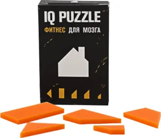 Головоломка IQ Puzzle — фото 1