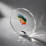 Награда «Disk» — фото 1
