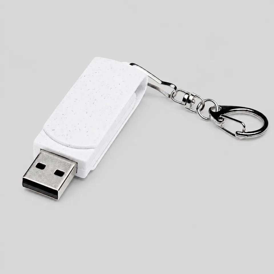Флешка USB 2.0 Варуна на