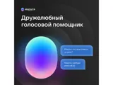 Умная колонка VK «Капсула» с голосовым помощником Марусей, 30 Вт — фото 4