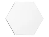 Награда «Hexagon» — фото 2
